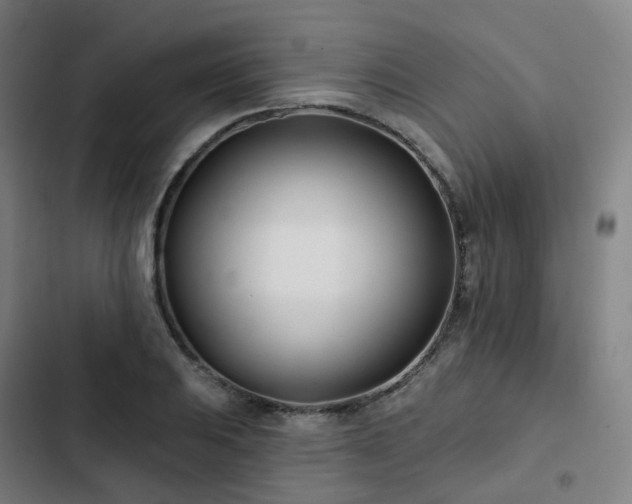 X0000103281031200809051526