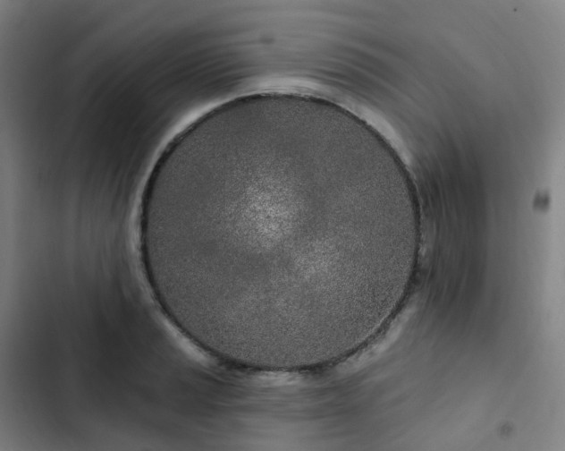 X0000103281037200809051526