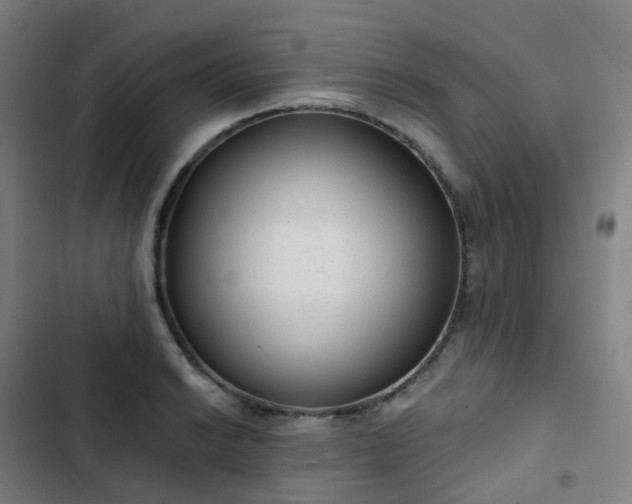 X0000103281038200809051526