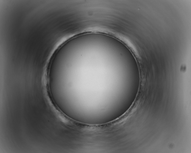 X0000103281040200809051526