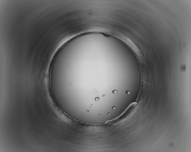 X0000103281044200809051526