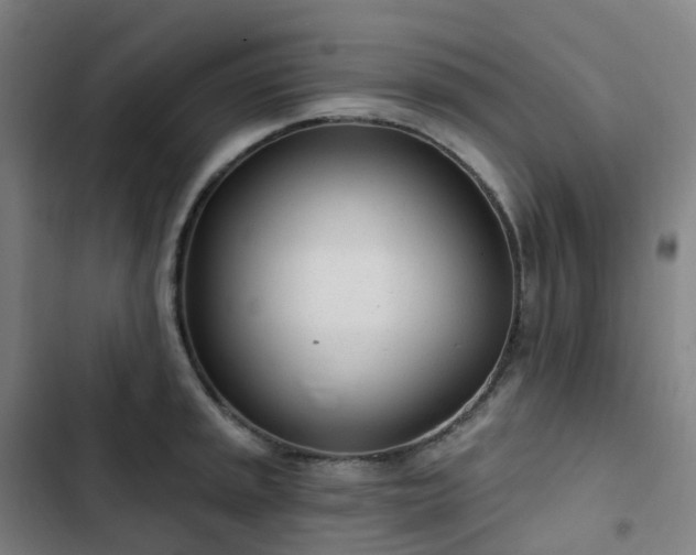 X0000103281045200809051526