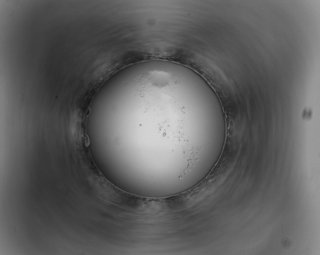 X0000103281058200809051525