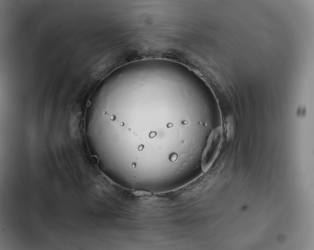 X0000103281059200809051525