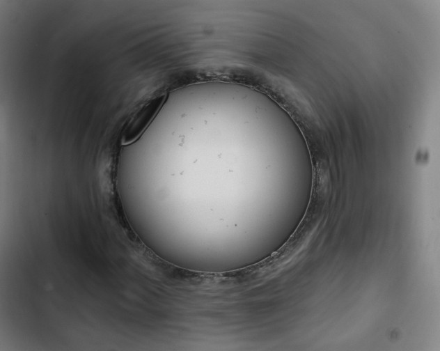 X0000103281060200809051525