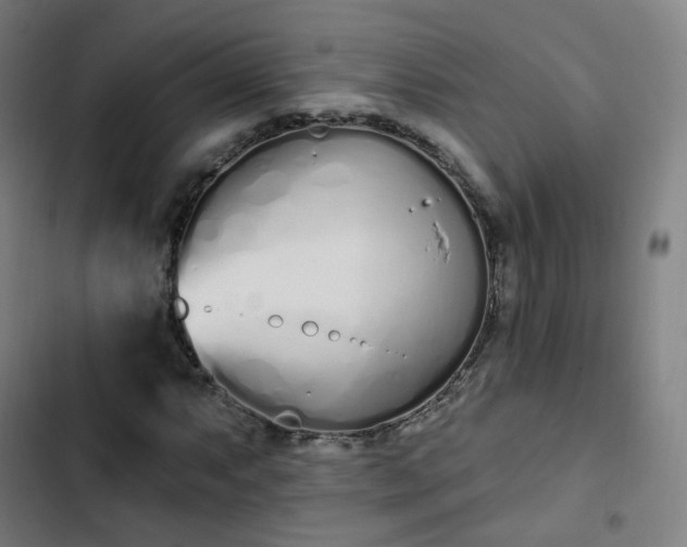 X0000103281063200809051525