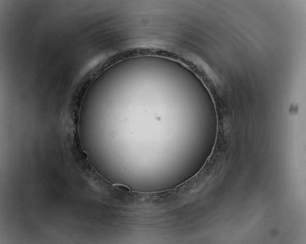 X0000103281064200809051525