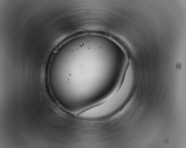 X0000103281065200809051525