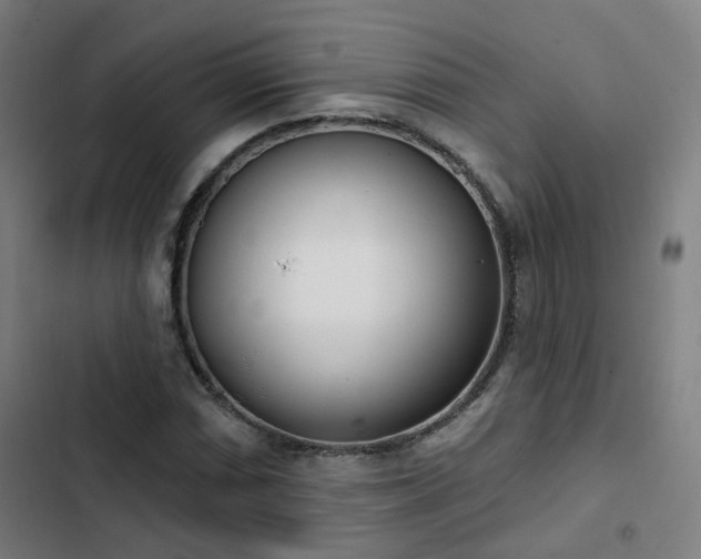 X0000103281066200809051525