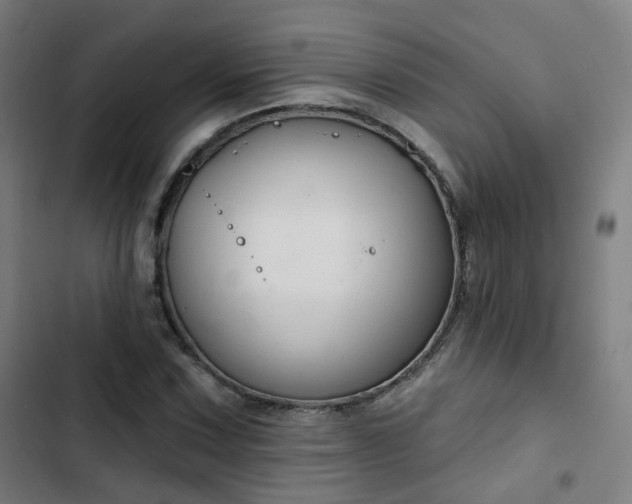 X0000103281067200809051525