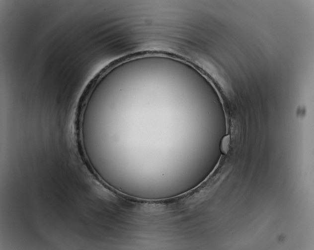 X0000103281068200809051525