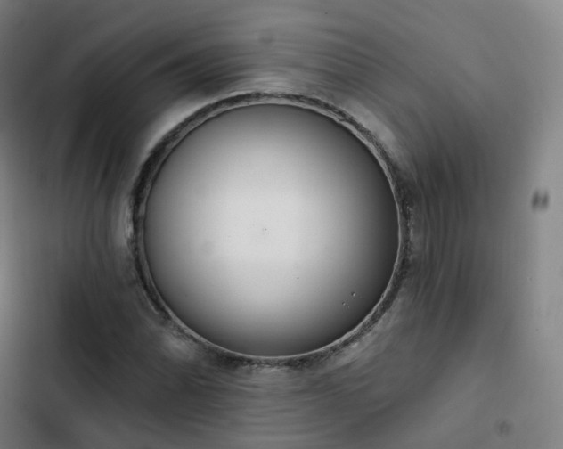 X0000103281070200809051525