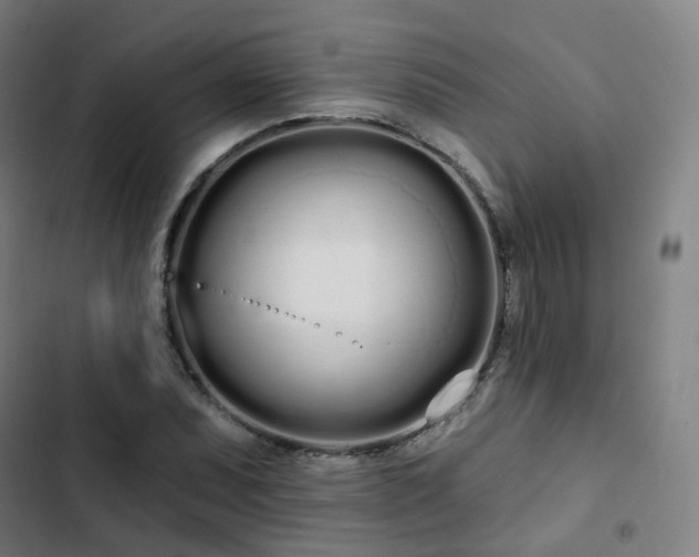 X0000103281071200809051525