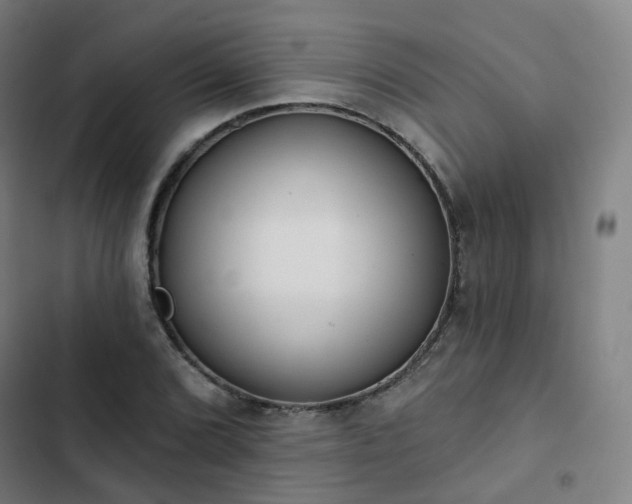 X0000103281072200809051525