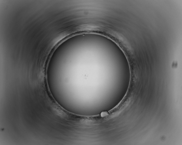 X0000103281073200809051525