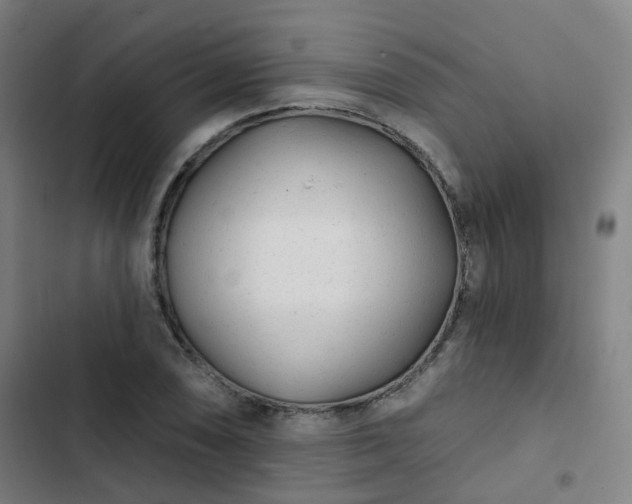 X0000103281074200809051525