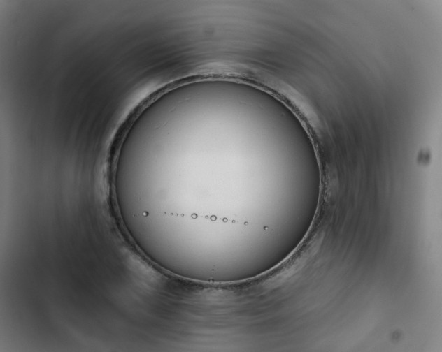 X0000103281075200809051525