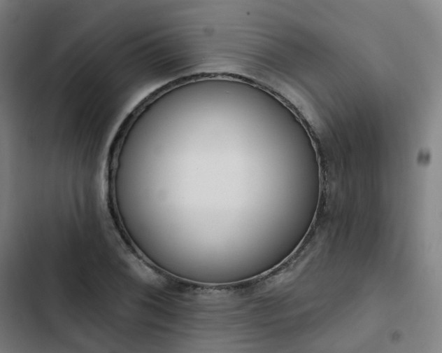 X0000103281076200809051525