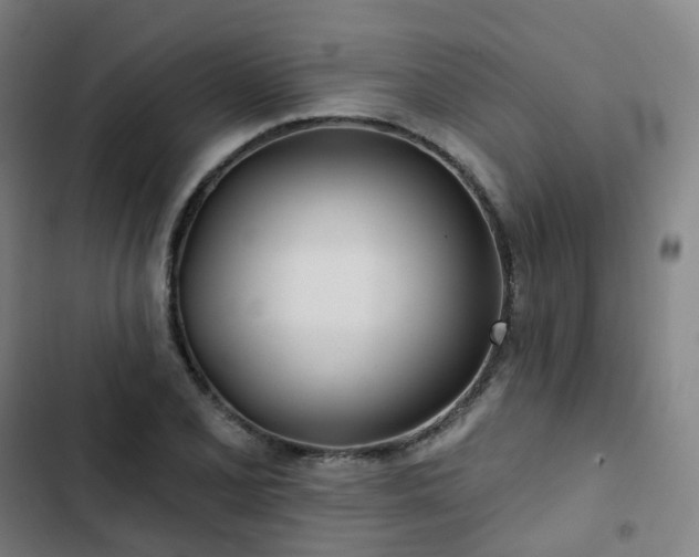 X0000103281077200809051525