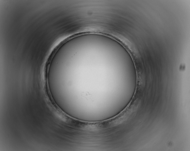 X0000103281078200809051525