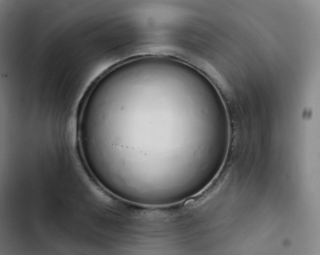 X0000103281079200809051525