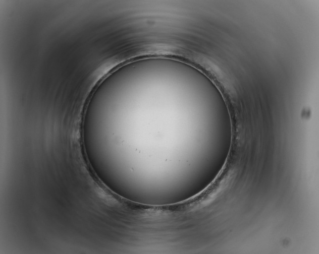 X0000103281081200809051525