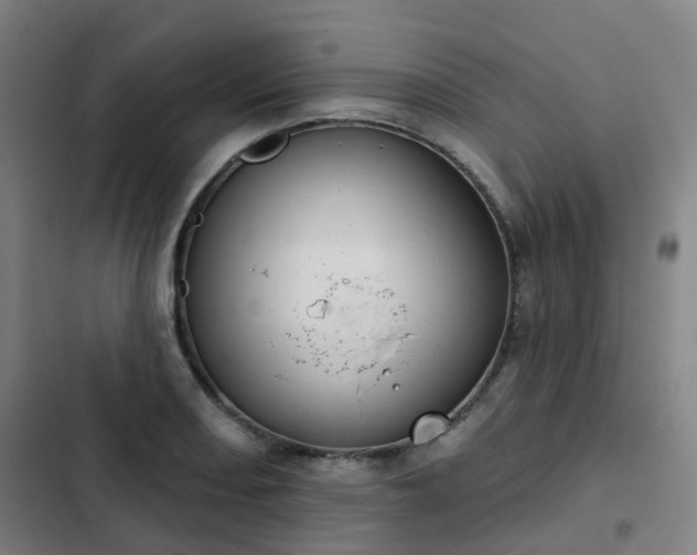 X0000103281082200809051525