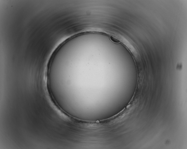 X0000103281084200809051525