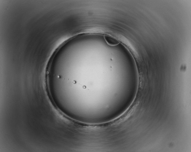 X0000103281087200809051525