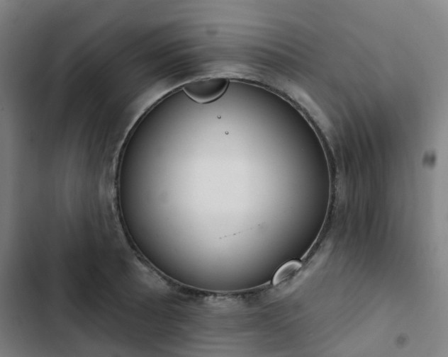 X0000103281089200809051525