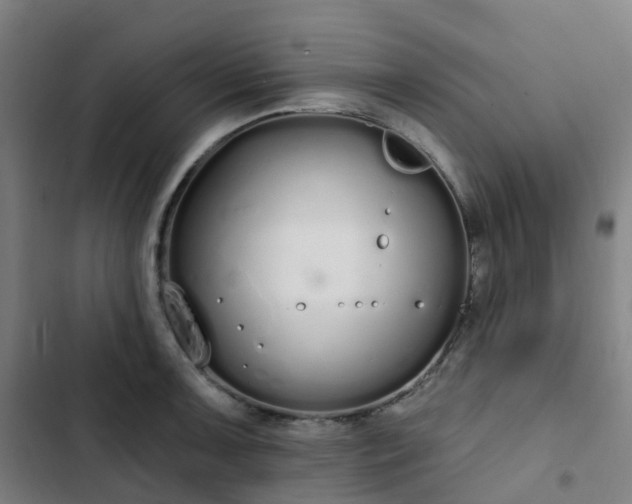 X0000103281091200809051525