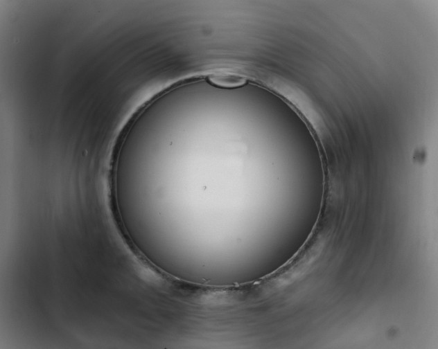 X0000103281093200809051525