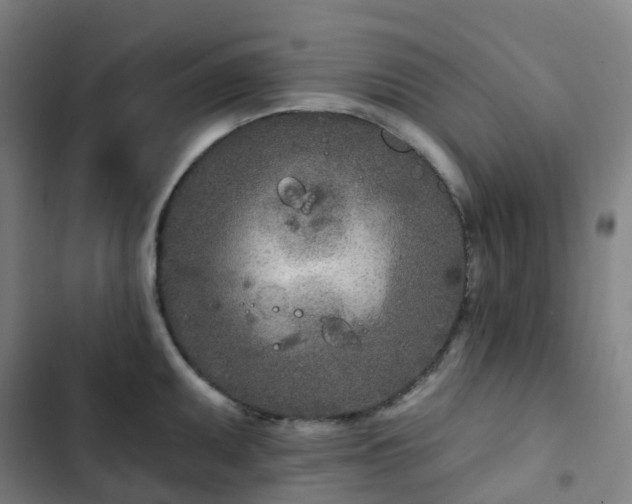 X0000103281095200809051525