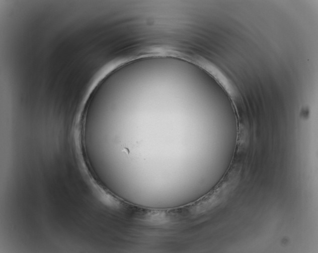 X0000103281098200809051525