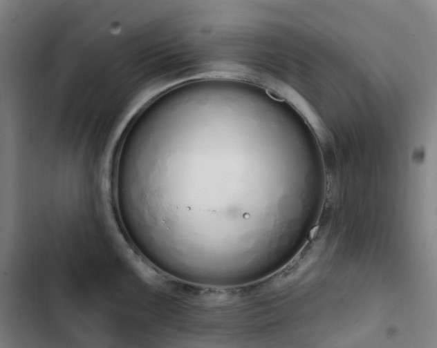 X0000103281099200809051525