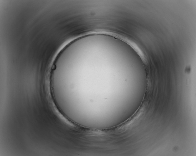 X0000103281100200809051525