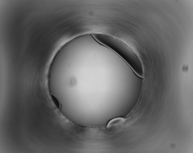 X0000103281104200809051525