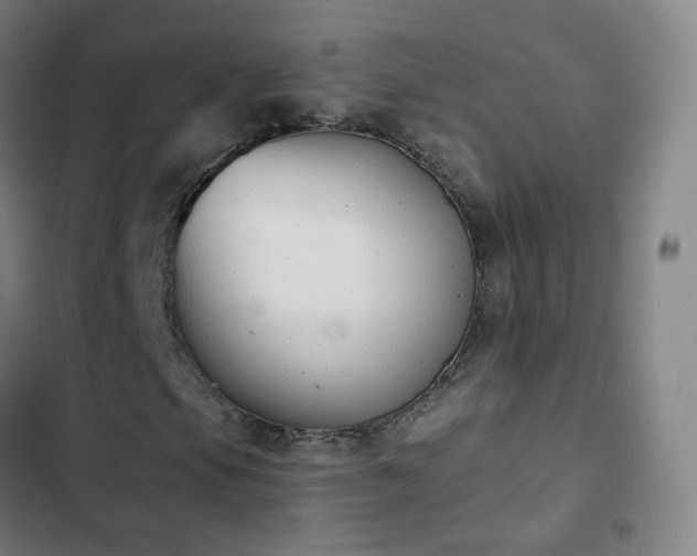 X0000103281105200809051524