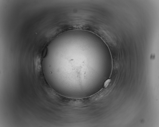 X0000103281106200809051524