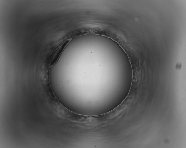 X0000103281109200809051524