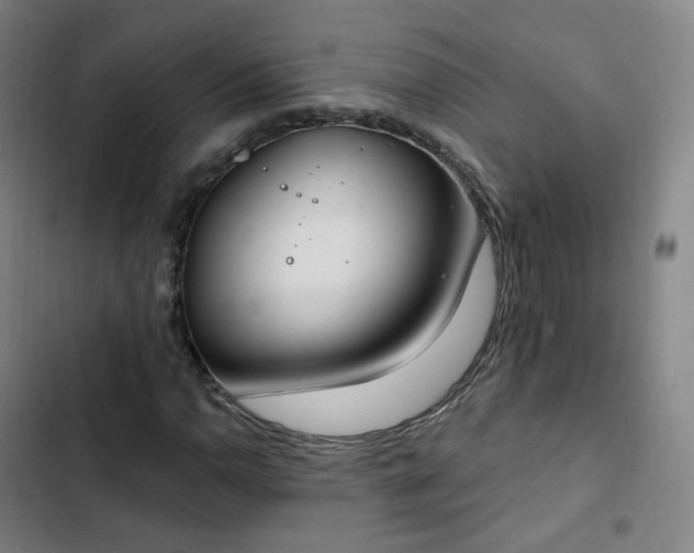 X0000103281110200809051524