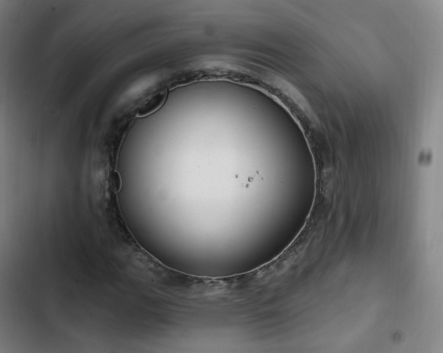 X0000103281111200809051524