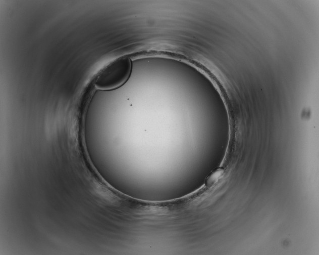 X0000103281115200809051524