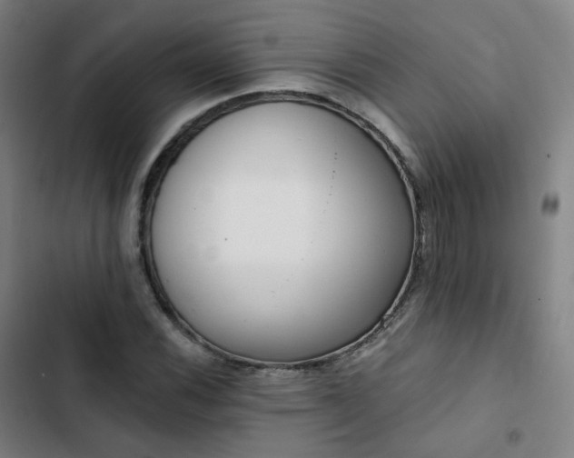 X0000103281116200809051524