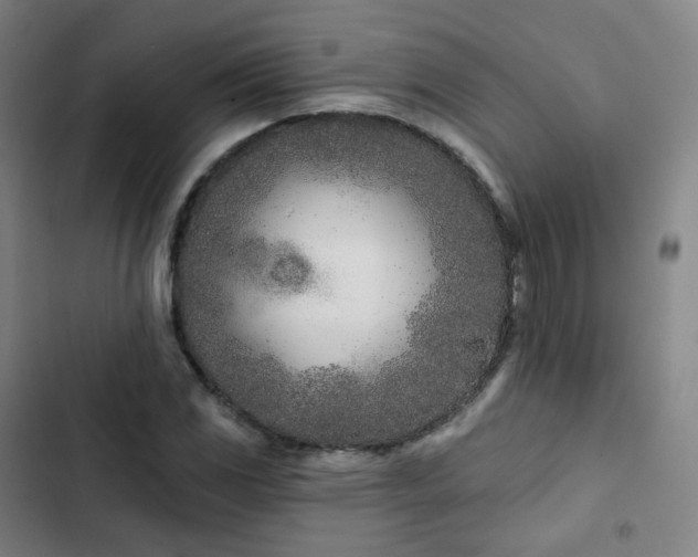 X0000103281117200809051524