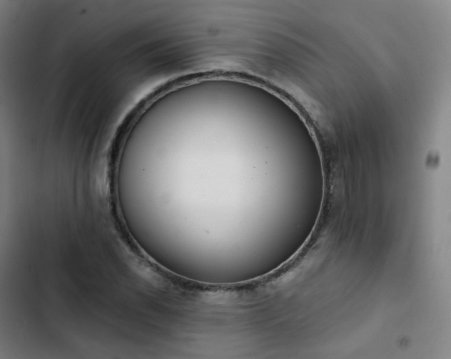 X0000103281118200809051524