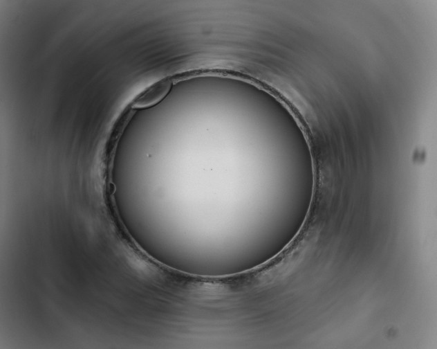 X0000103281119200809051524