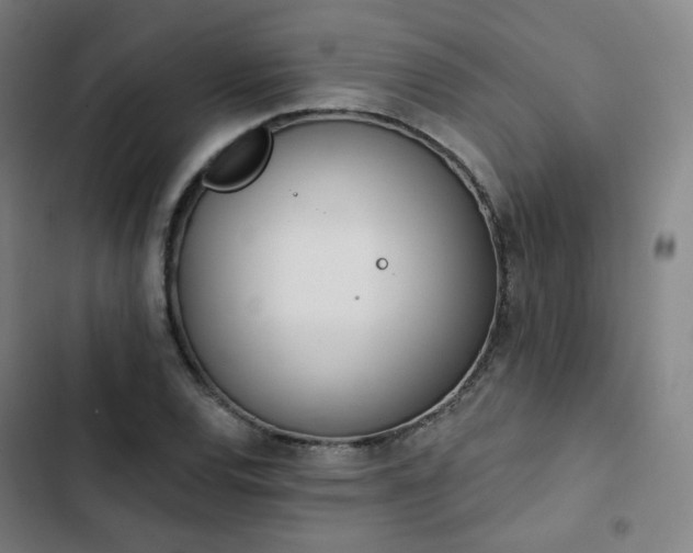 X0000103281120200809051524