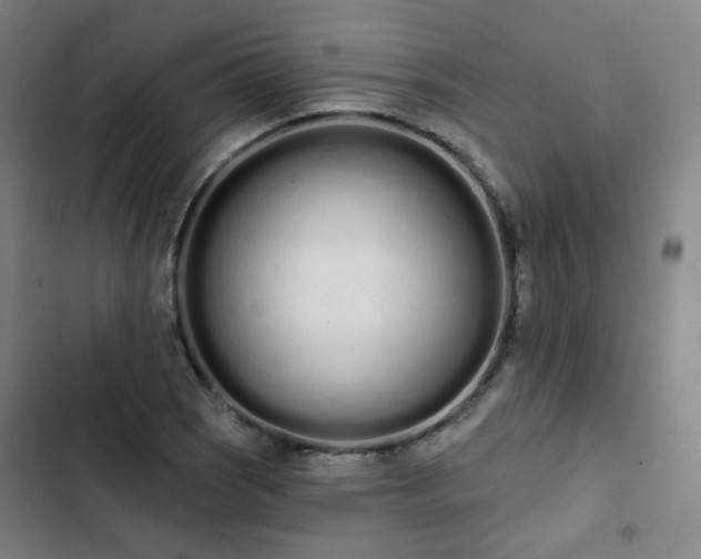 X0000103281121200809051524