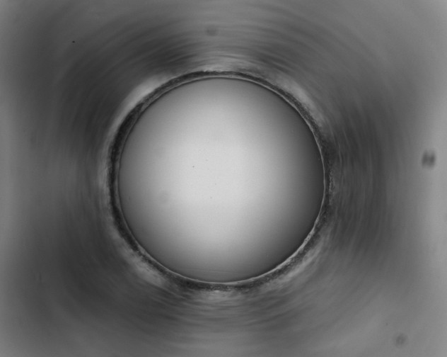 X0000103281122200809051524